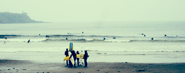 Surfers
